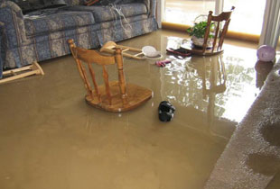 Water Damage